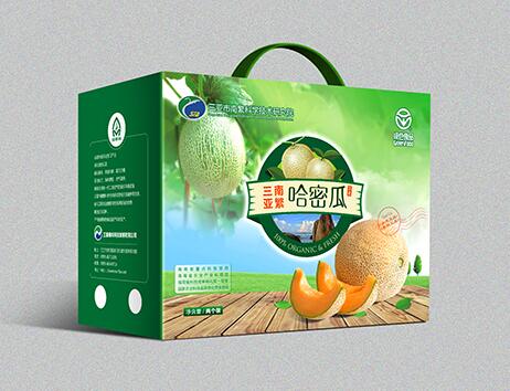 深圳水果包装设计