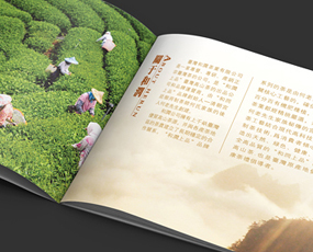和润上品茶业画册
